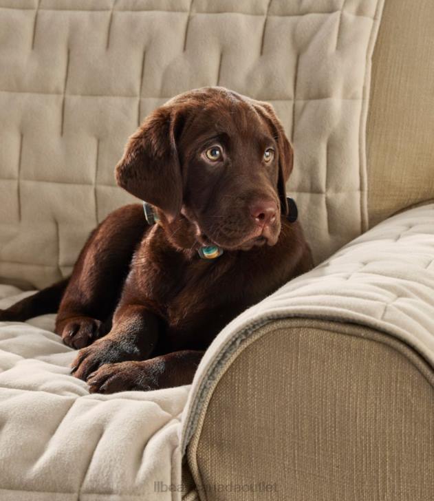 Home Goods Charcoal H8XZ4006 Furniture Protector Unisex L.L.Bean