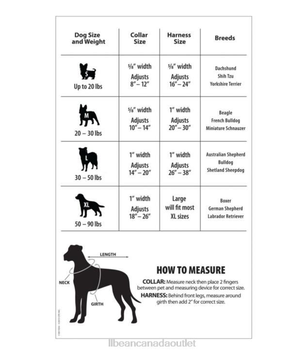 Home Goods Blue H8XZ3846 Personalized Pet Collar Unisex L.L.Bean