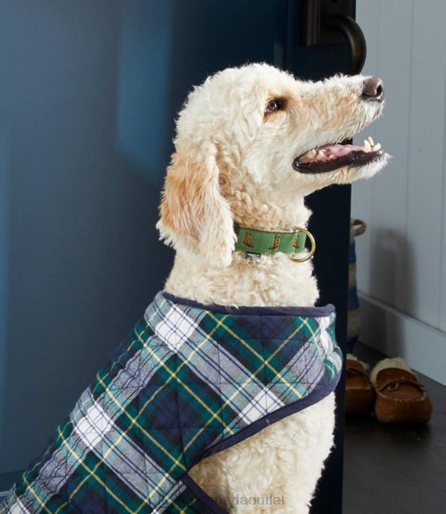 Home Goods Katahdin H8XZ5308 Novelty Dog Collar Unisex L.L.Bean