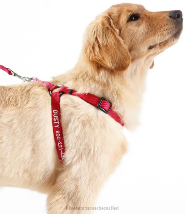 Home Goods Red H8XZ1591 Personalized Pet Harness Unisex L.L.Bean