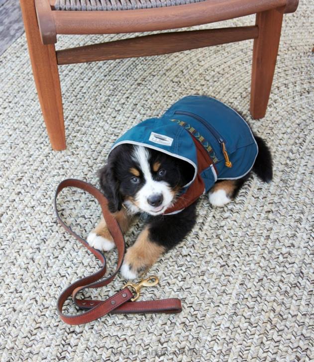 Home Goods Gray Multi H8XZ4346 All-Weather Braided Rug Concentric Pattern Oval Unisex L.L.Bean