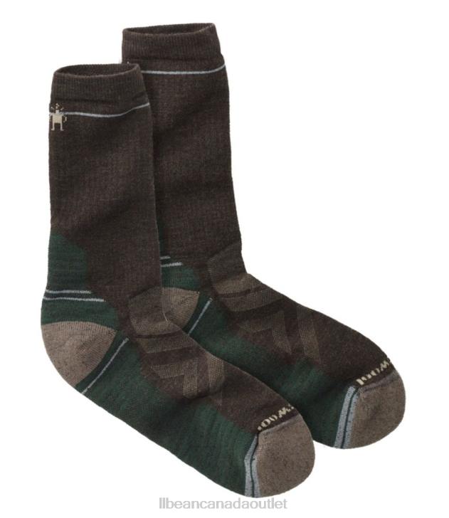 Accessories Chestnut H8XZ183 Smartwool Performance Hike Full Cushion Sock Men L.L.Bean