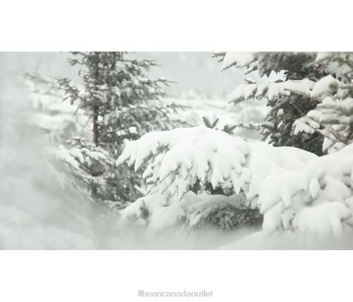 Outerwear Charcoal Heather H8XZ6057 Baxter State Parka Men L.L.Bean