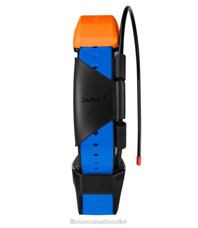 Outdoor Equipment Blue/Black H8XZ2176 Garmin T5X GPS Collar Unisex L.L.Bean