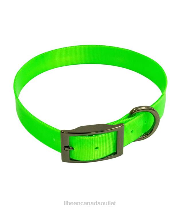 Outdoor Equipment Neon Green H8XZ1916 Boyt Fireflex Dog Collar Unisex L.L.Bean