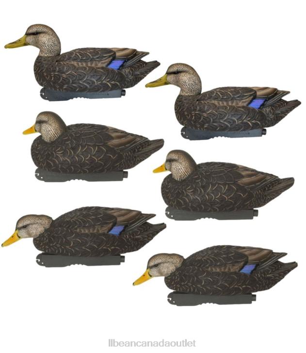 Outdoor Equipment Black Duck H8XZ2307 Avery Pro-Grade Decoys 6-Pack Unisex L.L.Bean