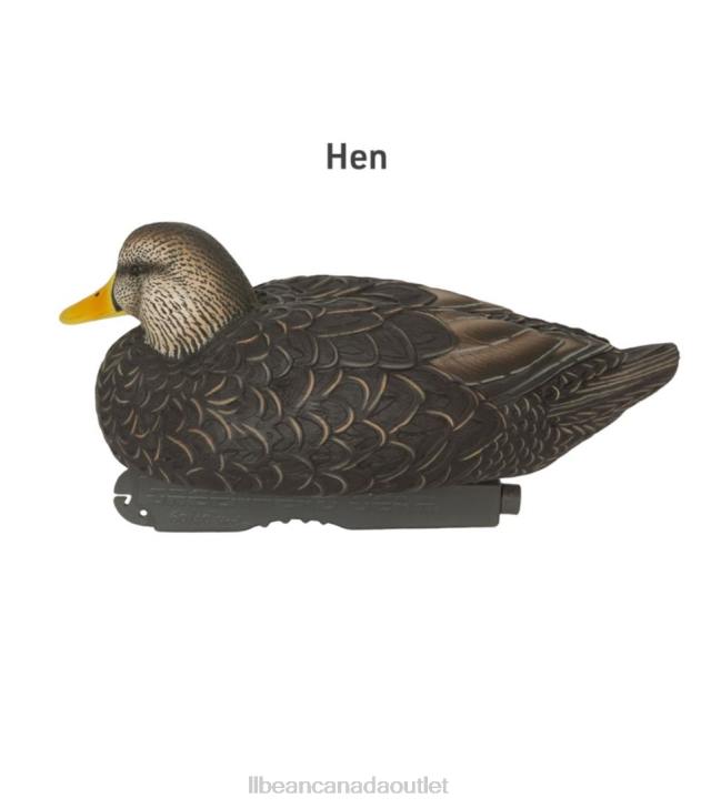 Outdoor Equipment Black Duck H8XZ2307 Avery Pro-Grade Decoys 6-Pack Unisex L.L.Bean