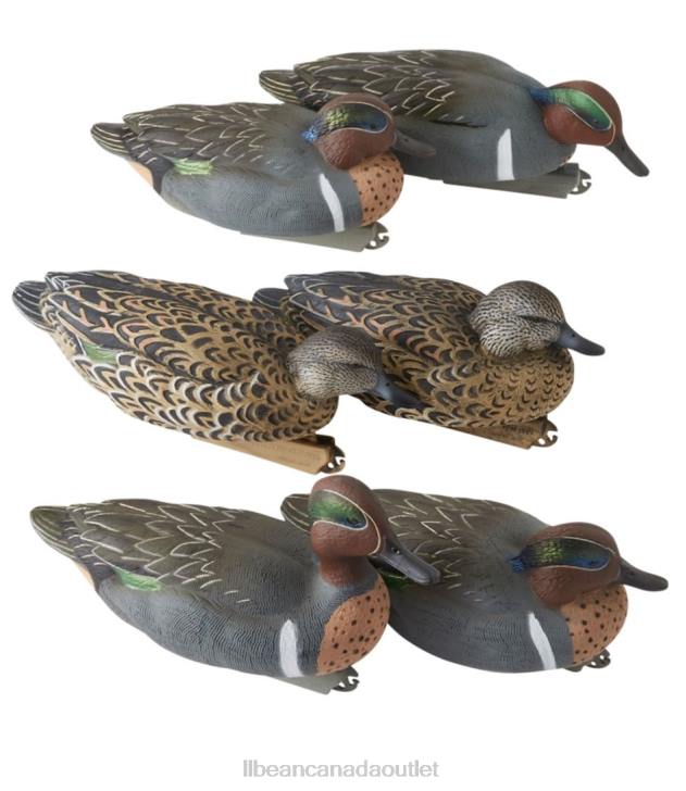 Outdoor Equipment Greenwing Teal H8XZ2225 Avery Pro-Grade Decoys Unisex L.L.Bean