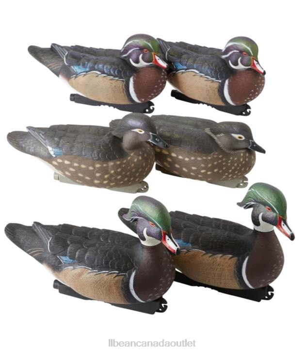 Outdoor Equipment Wood Duck H8XZ1934 Avery Pro-Grade Decoys 6-Pack Unisex L.L.Bean