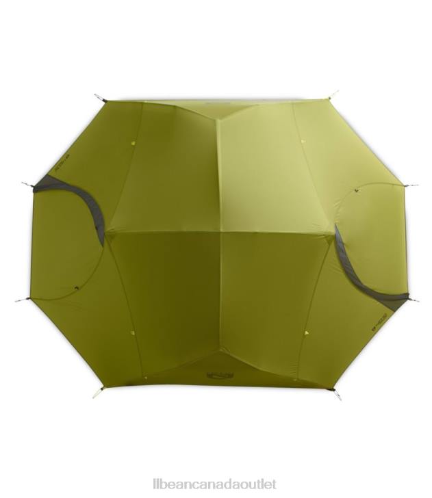 Outdoor Equipment Birch Bud/Goodnight Gray H8XZ2172 NEMO Dagger OSMO 3-Person Backpacking Tent Unisex L.L.Bean